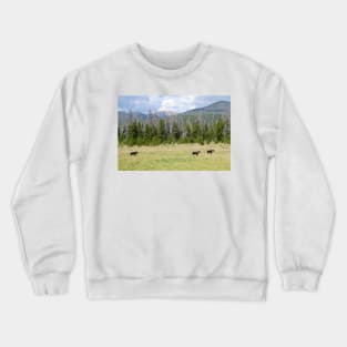 Moose in Rocky Mountain National Park Crewneck Sweatshirt